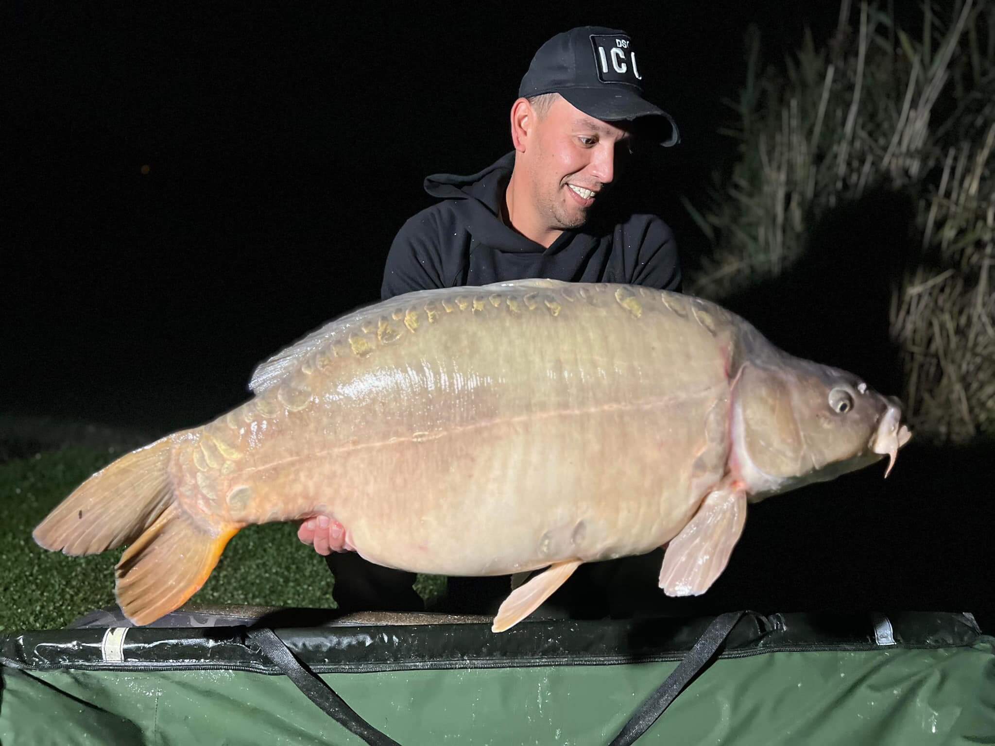 Ghost Carp